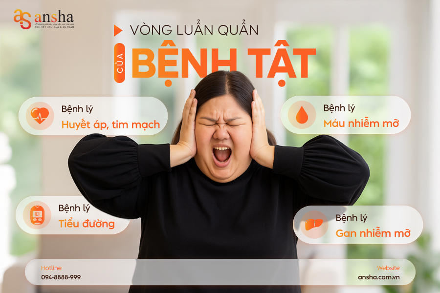 Vòng luẩn quẩn bệnh tật từ suy giảm chức năng gan đến bệnh tim mạch